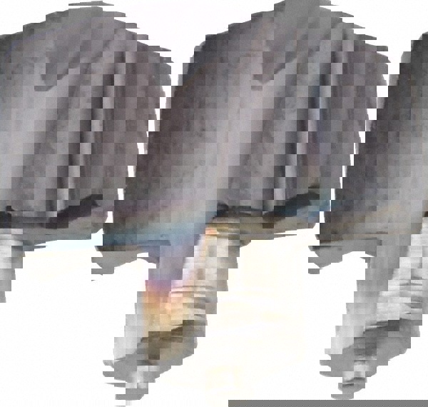 ICM0299 IC908 Carbide Replaceable Tip Drill