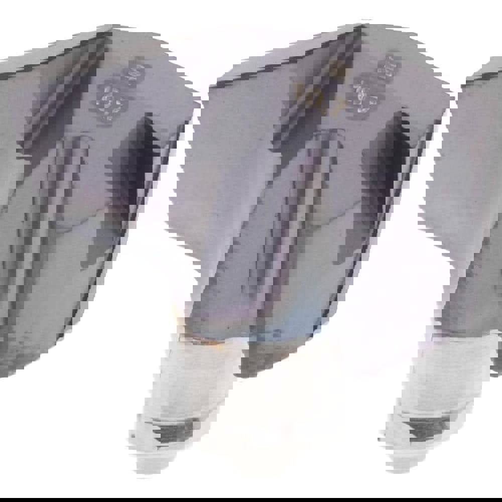 ICM0421 IC907 Carbide Replaceable Tip Drill