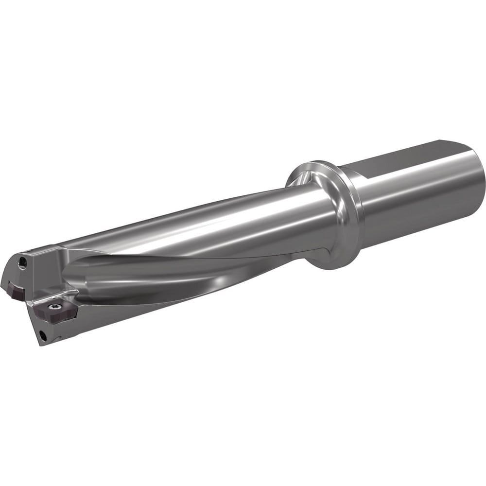 Drill Bodies; Maximum Drill Depth: 5.9760in ; Drill Depth by Diameter Ratio: 3xD ; Maximum Depth of Cut (mm): 151.79 ; Shank Type: Weldon Shank ; Shank Diameter (mm): 40.0000 ; Shank Diameter (Decimal Inch): 1.5748