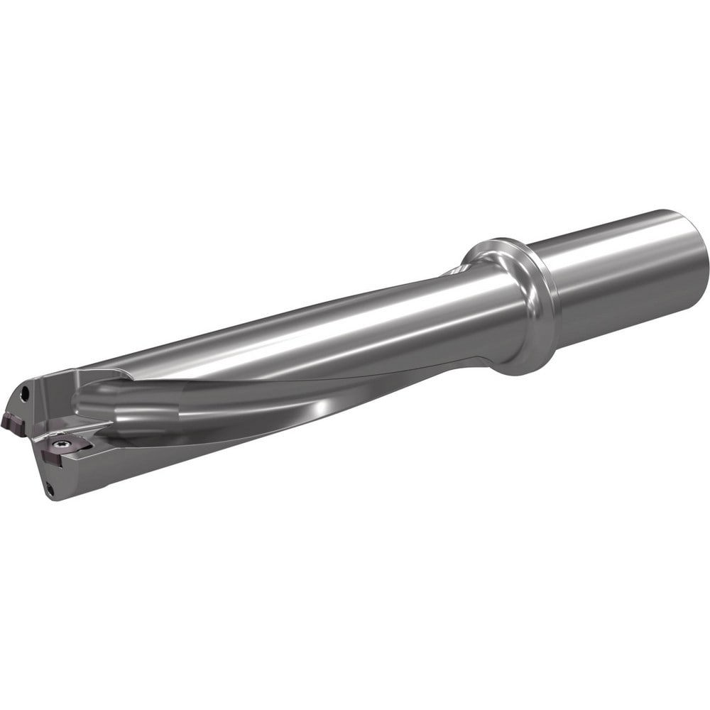 Drill Bodies; Maximum Drill Depth: 8.5780in ; Drill Depth by Diameter Ratio: 4xD ; Maximum Depth of Cut (mm): 217.89 ; Shank Type: Weldon Shank ; Shank Diameter (mm): 40.0000 ; Shank Diameter (Decimal Inch): 1.5748