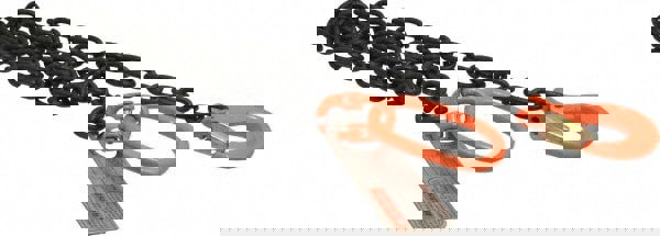 Chain Sling: 5' Long, Steel