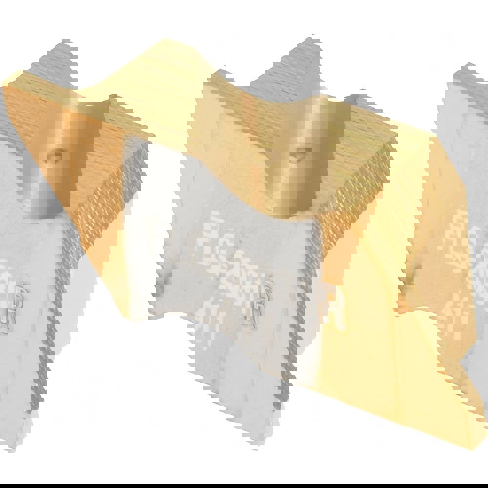 Grooving Insert: FLG2031 GP3, Solid Carbide