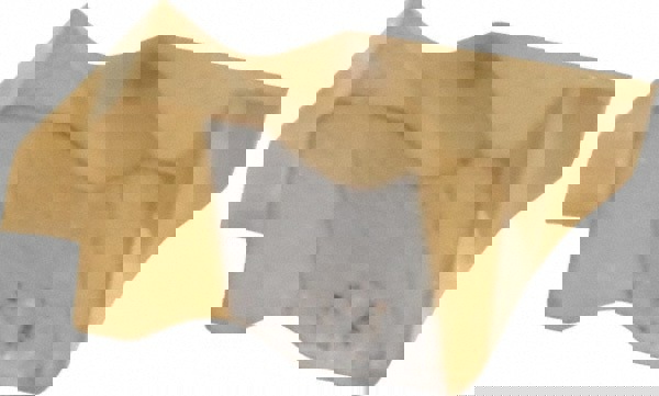 Grooving Insert: FLG2031 GP50, Solid Carbide