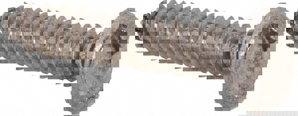 Sheet Metal Screw: #6, Round Head, Slotted