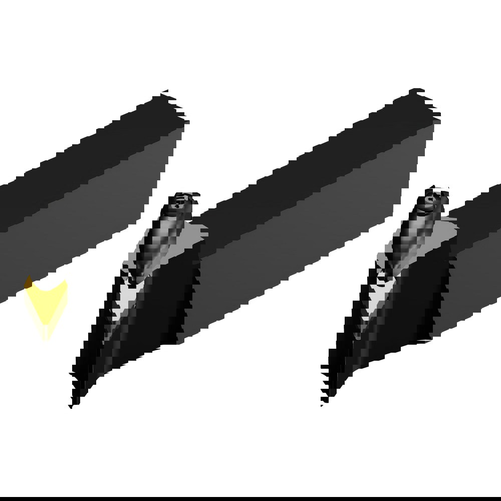 Indexable Turning Toolholder: DVTNR163D, Wedge
