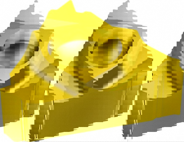 Laydown Threading Insert: R166.0L11NT01F180 1020, Carbide