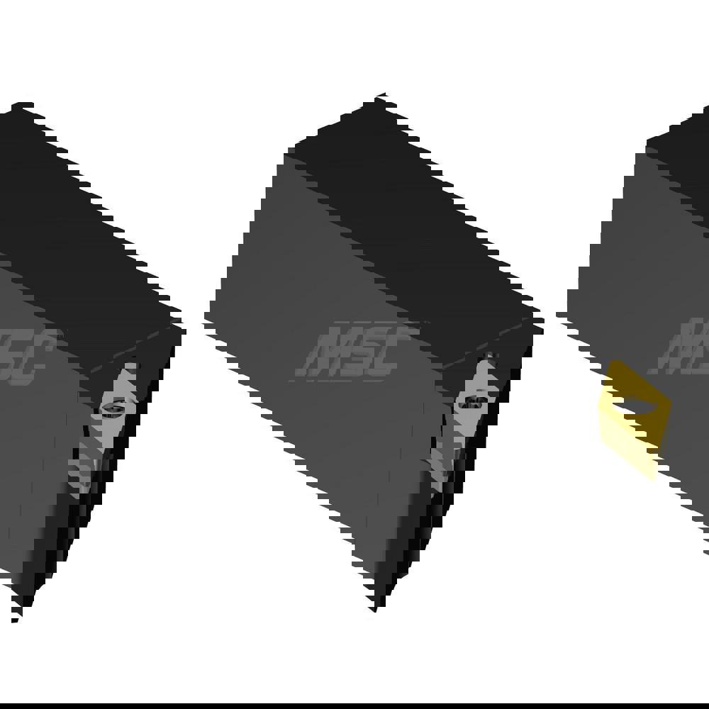 Indexable Turning Toolholder: SVHBL163C, Screw