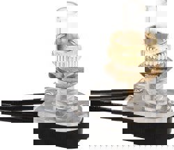 Canopy Push-Button Switch: