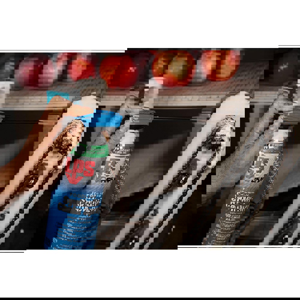 16 oz Aerosol High Performance Chain & Cable Lubricant