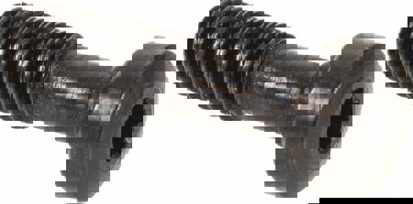 Cap Screw for Indexables: Torx Plus, M4