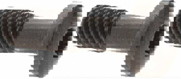 Cap Screw for Indexables: Torx Plus, M6