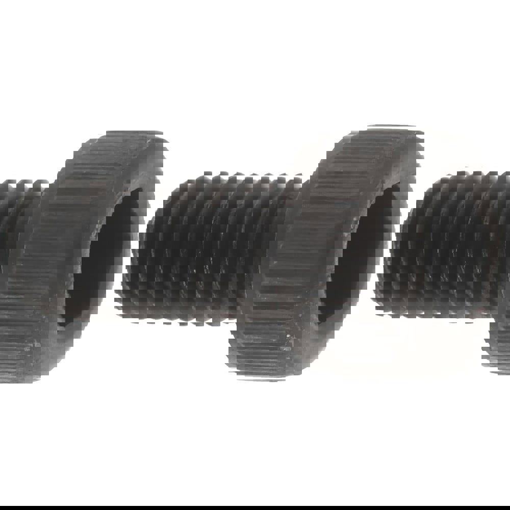 Hex Socket Cap Screw: #6-32, 5/16