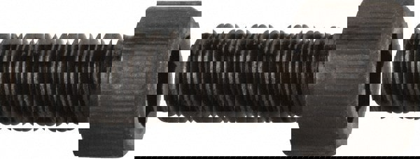 Hex Socket Cap Screw: #6-40, 7/16