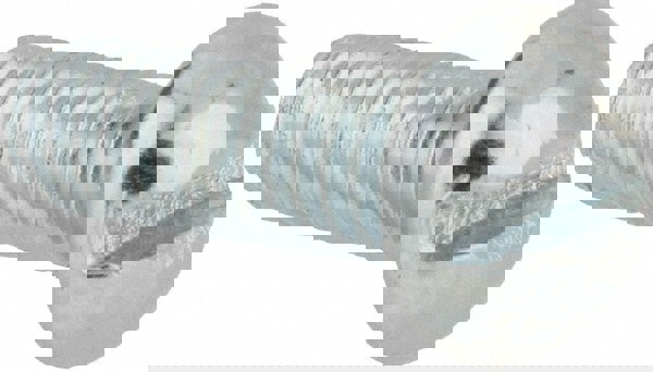 Machine Screw: #8-32, 1/2