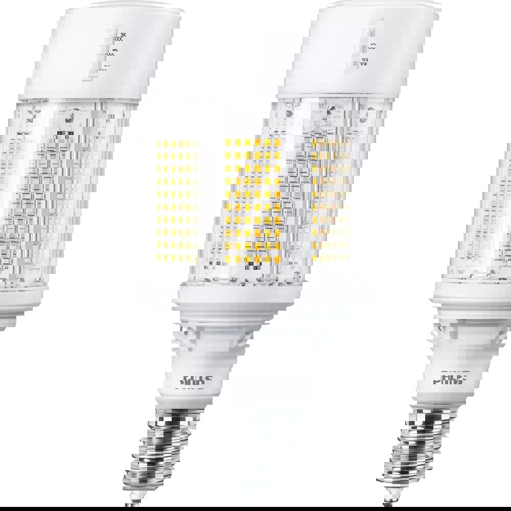 LED Lamp: Commercial & Industrial, ED28 & LED, 115.000W, Mogul Base