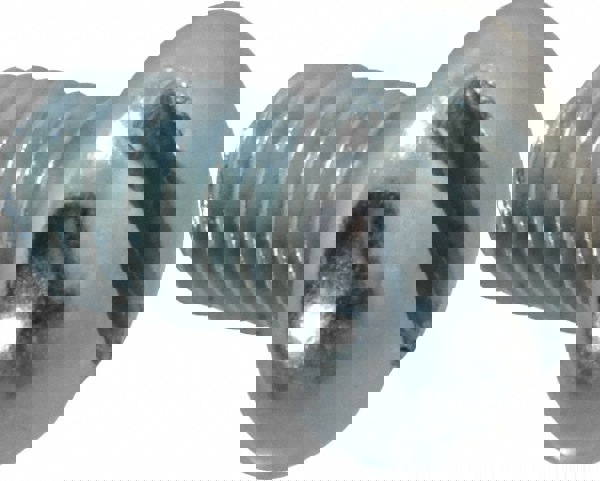 Machine Screw: 5/16-18, 1/2