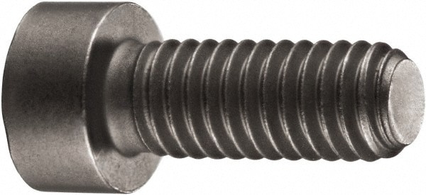 Cap Screw for Indexables: TP10 Torx Plus, M2.5 x 0.45 Thread
