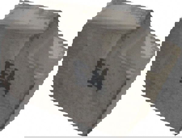 Cutoff Insert: GTR-4-4D IC-54, Carbide, 4.1 mm Cutting Width