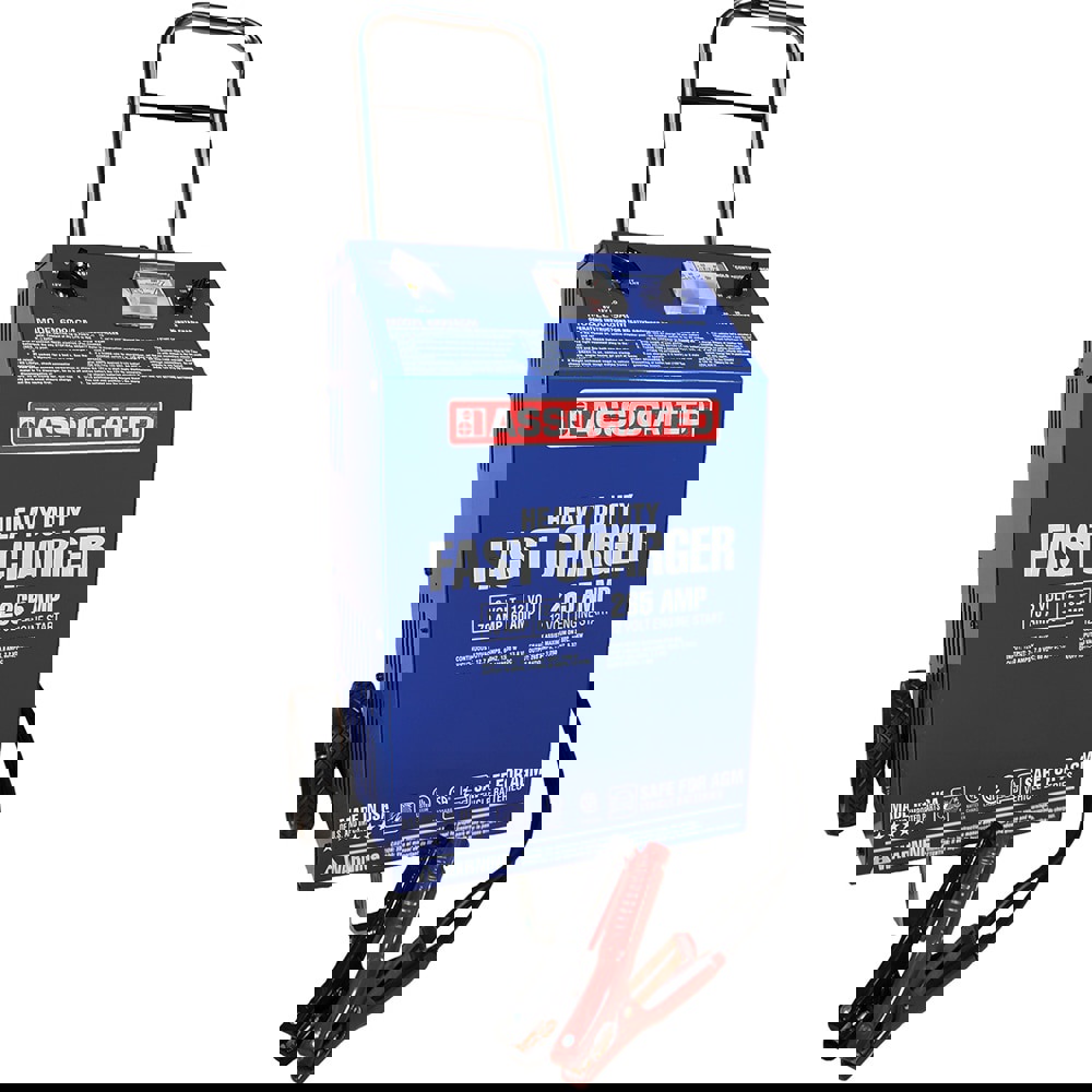 Automatic Charger/Engine Starter: 6 & 12VDC