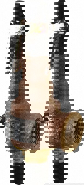 ASME Safety Relief Valve: 1/2