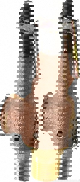 ASME Safety Relief Valve: 3/4