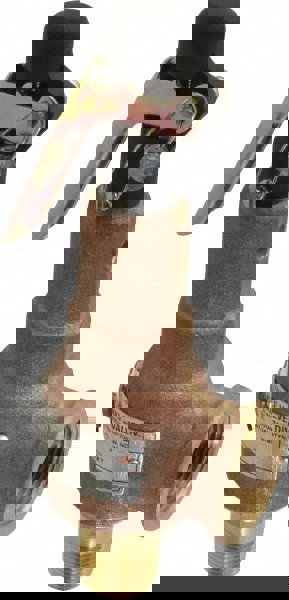 ASME Safety Relief Valve: 3/4