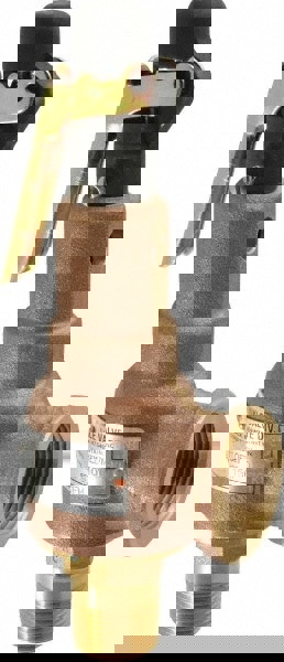 ASME Safety Relief Valve: 3/4