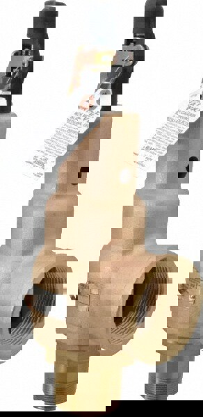 ASME Safety Relief Valve: 2