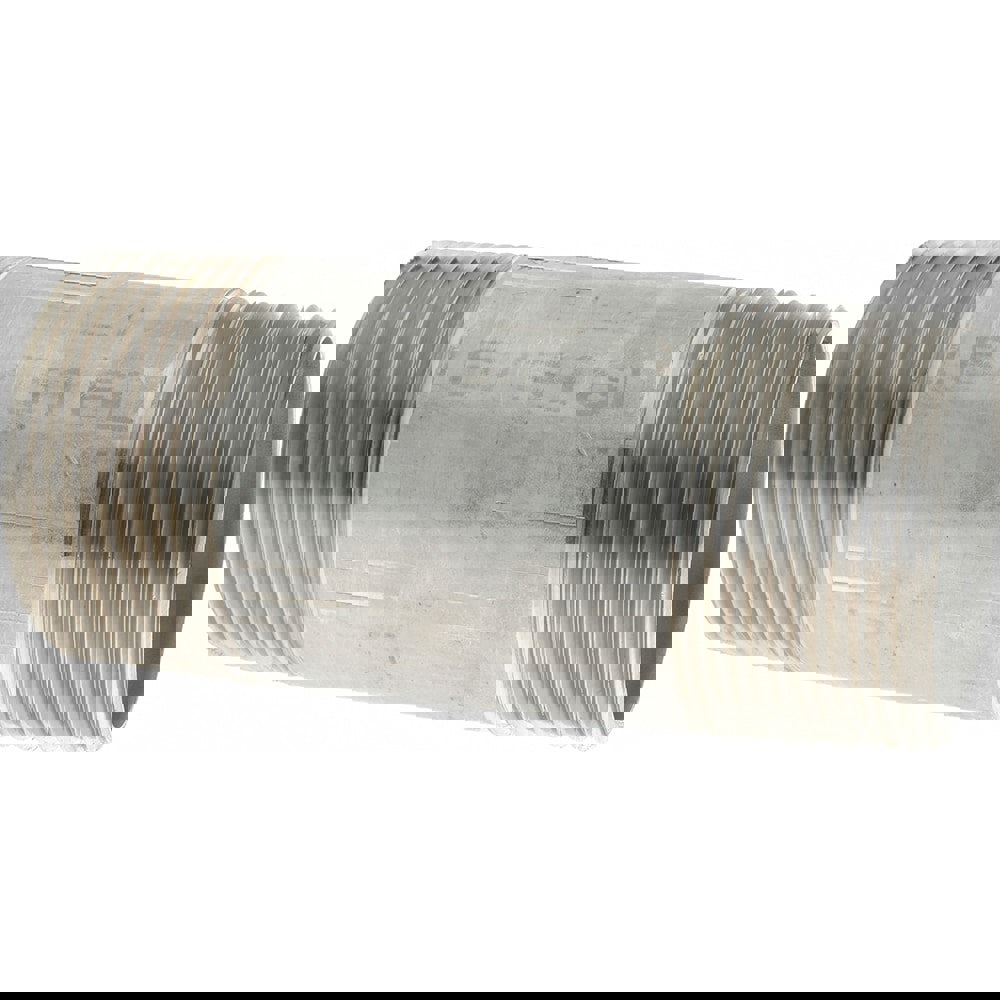 Stainless Steel Pipe Nipple: 2-1/2