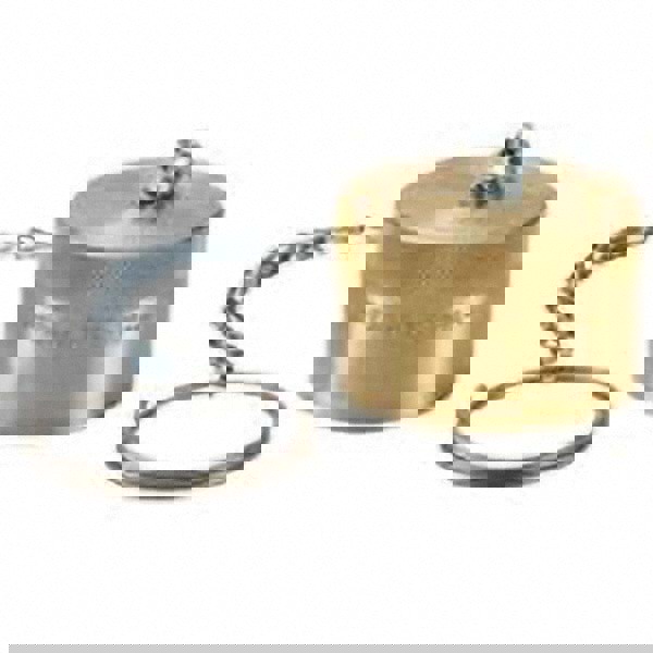 Hydraulic Hose Dust Cap: 3/4