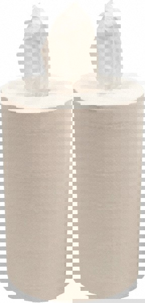 Advantage General Cleaning Wipes, Dry, Center-Pull Roll, 9