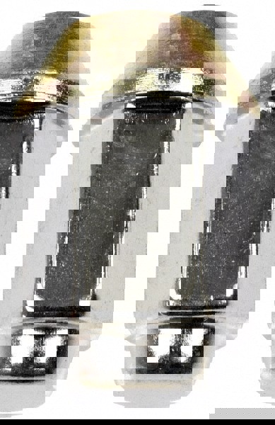 1/2-20 Stainless Finish Capped Wheel Nut