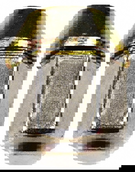 1/2-20 Stainless Finish Capped Wheel Nut