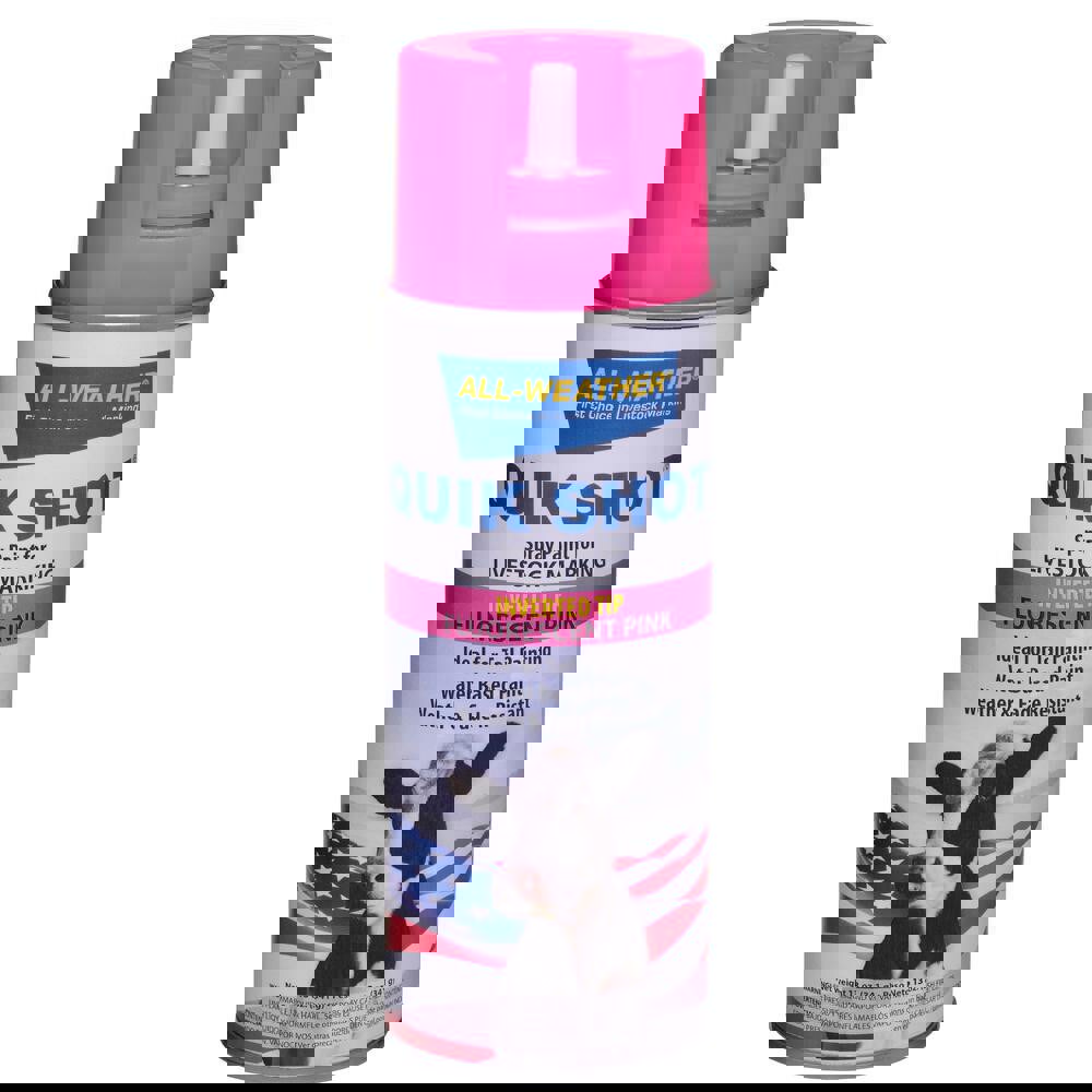 Spray Paints; Product Type: Water-Based Aerosol ; Color: Fluorescent Pink ; Finish: Flat ; Color Family: Fluorescent Pink ; Container Size (oz.): 16.000 ; Coverage (Sq.Ft./Gal.): 10 to 15