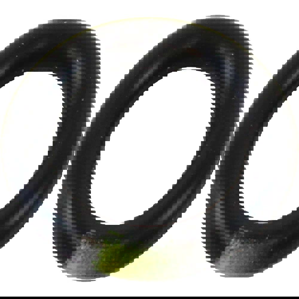 O-Ring: