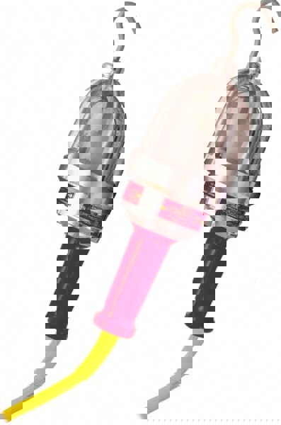 100 Watt Hand Held Electric Portable Incandescent Light