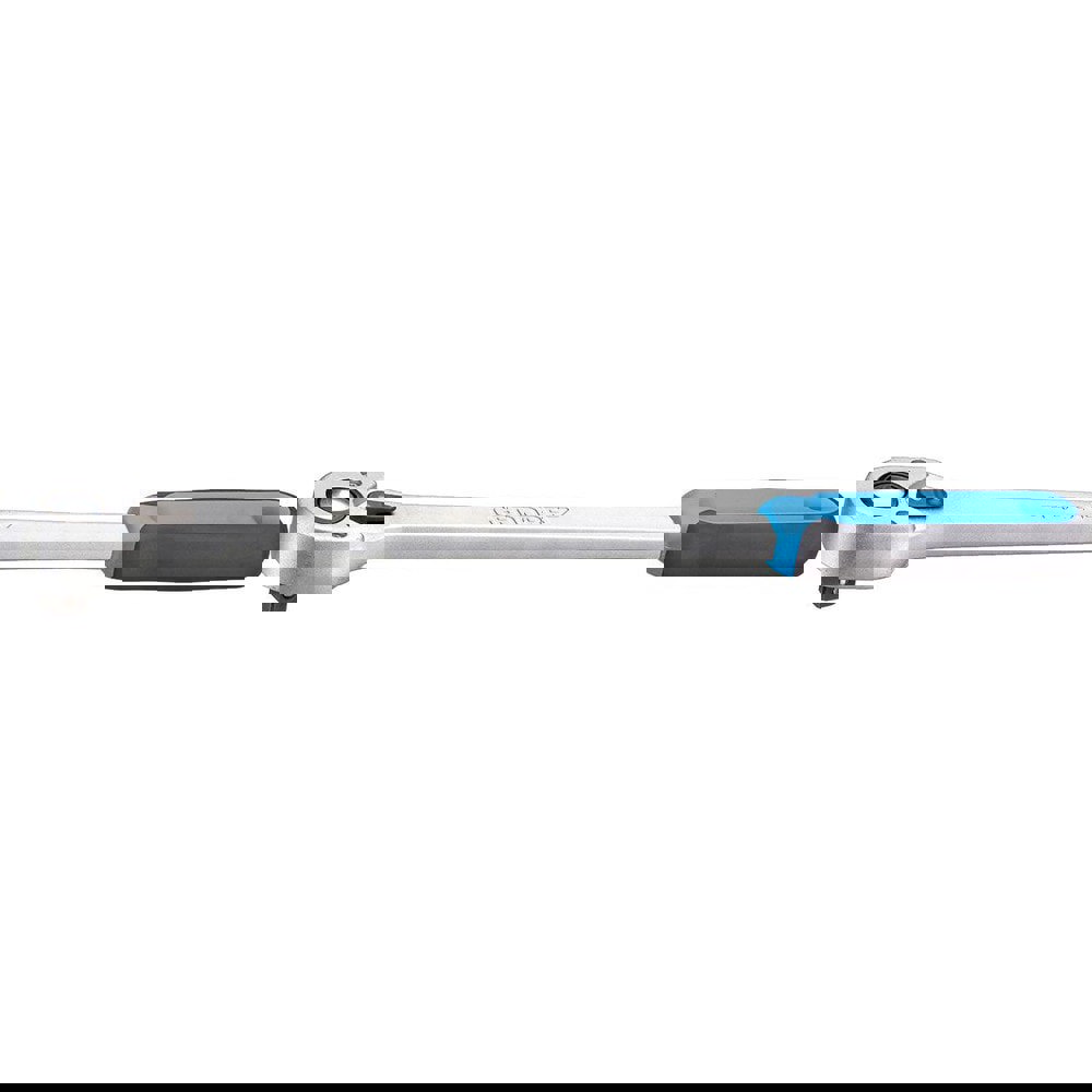 Reversible Ratchet: 1/2