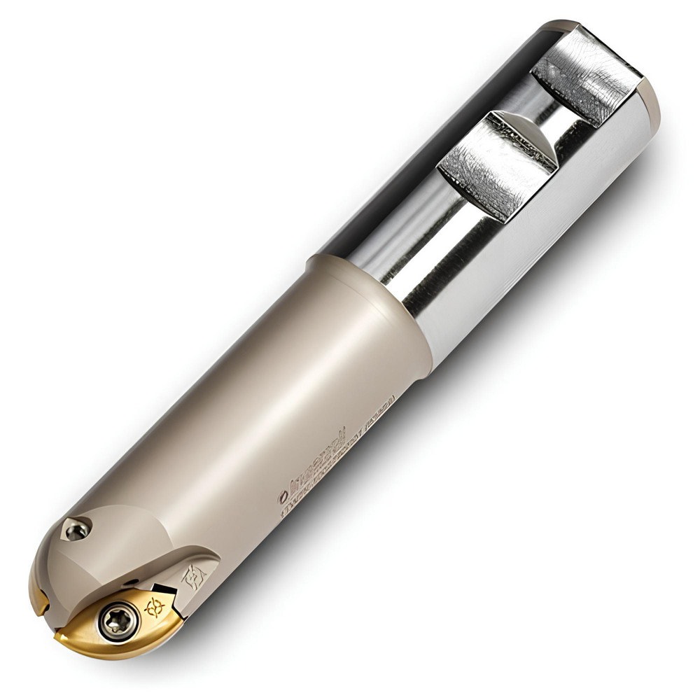 Indexable Ball Nose End Mill: 1