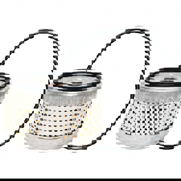 Automotive Fuel Filter: