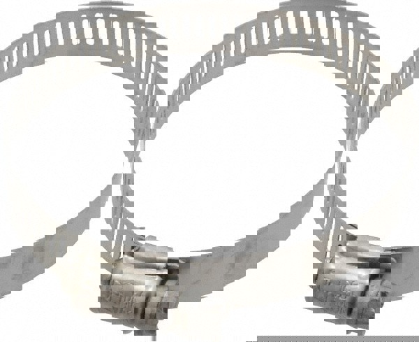 Worm Gear Clamp: SAE 40, 2-1/16 to 3