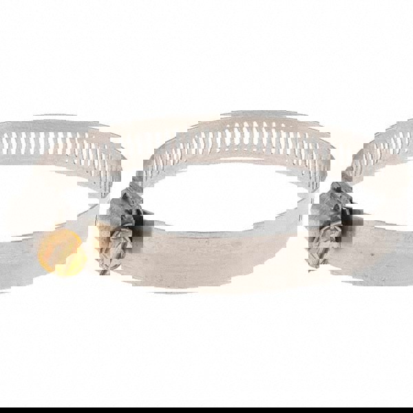 Worm Gear Clamp: SAE 44, 2-5/16 to 3-1/4