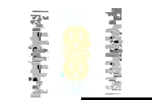 15A 115V DUP RECEPT IVOR