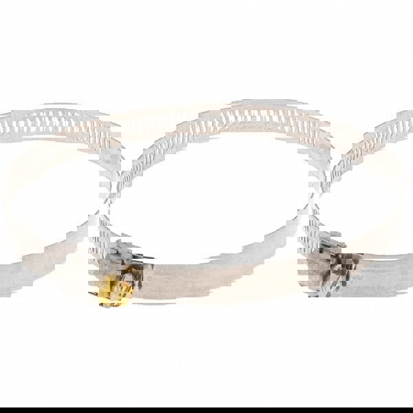 Worm Gear Clamp: SAE 80, 2-1/2 to 5-1/2