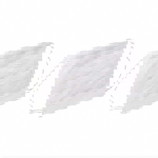 Disposable Particulate Respirator: Size Regular