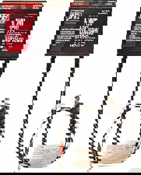 Automotive Battery Charger: 12 & 24VDC