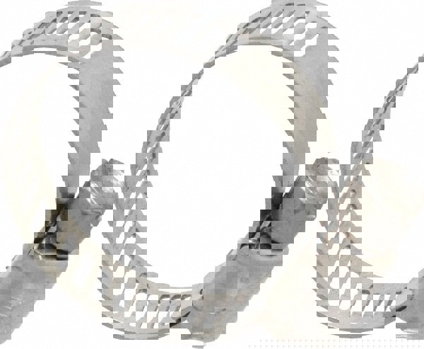 Worm Gear Clamp: SAE 8, 7/16 to 1