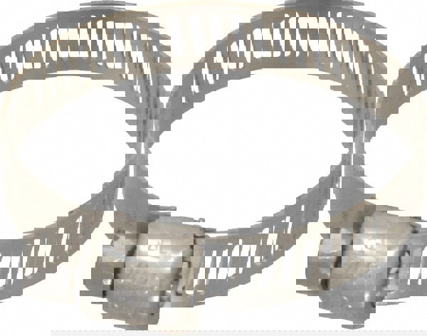 Worm Gear Clamp: SAE 16, 11/16 to 1-1/2