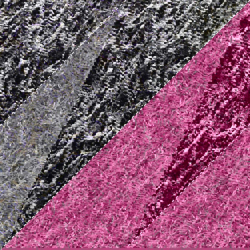 Abrasive Belts; Belt Width (Inch): 1/4 ; Belt Length (Inch): 24 ; Grade: Ultra Fine ; Abrasive Type: Non-Woven ; Abrasive Material: Silicon Carbide ; Wet/Dry Operation: Wet/Dry