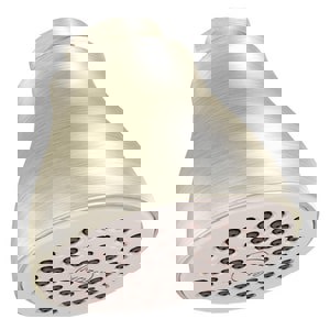 CCN 1F SHWRHD *EASCLE XL BN 2.5 GPM