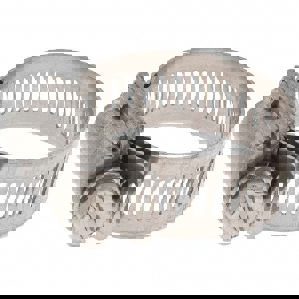 Worm Gear Clamp: SAE 12, 11/16 to 1-1/4